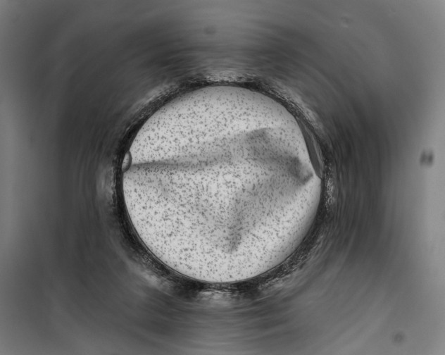 X0000099540211200806061502