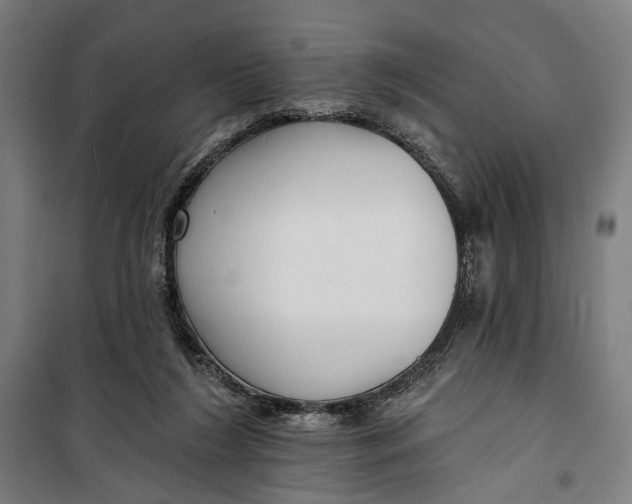 X0000099540212200806061502