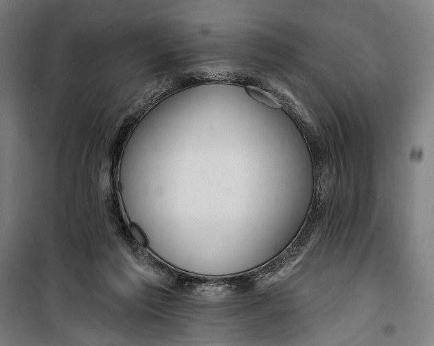 X0000099540213200806061502