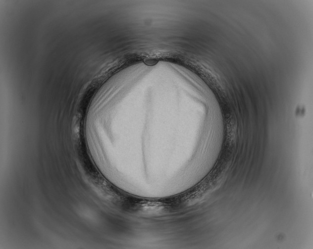 X0000099540214200806061502