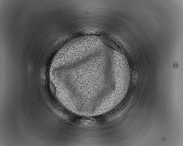 X0000099540215200806061502