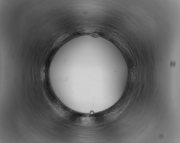 X0000099540216200806061502