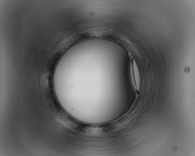 X0000099540217200806061502