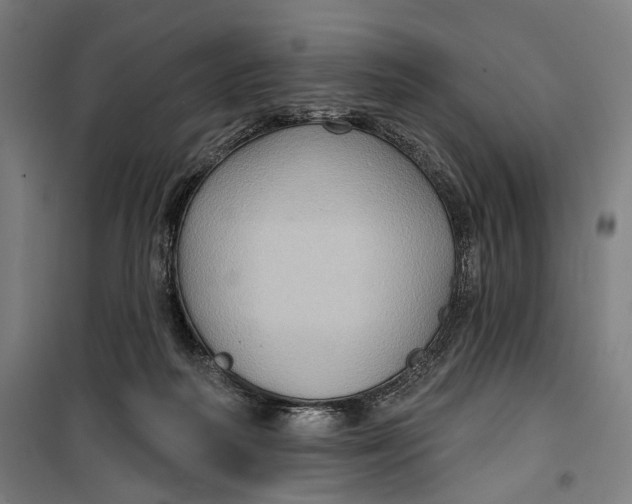 X0000099540218200806061502