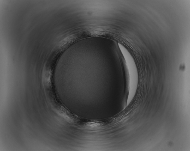 X0000099540219200806061502