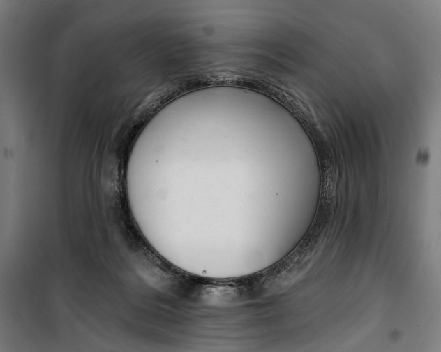 X0000099540220200806061502