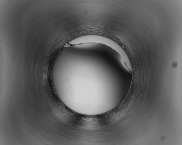 X0000099540221200806061502