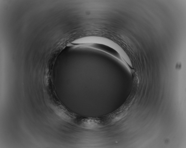 X0000099540223200806061501