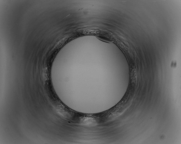 X0000099540224200806061501