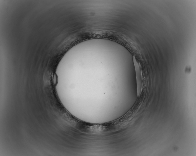 X0000099540225200806061501