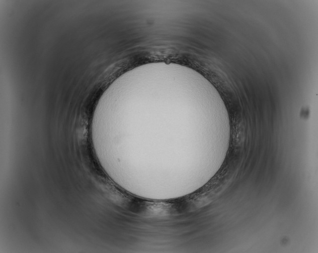 X0000099540226200806061501