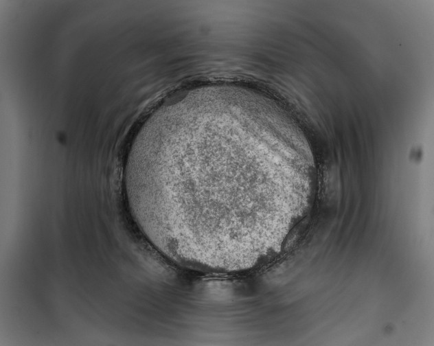 X0000099540228200806061501