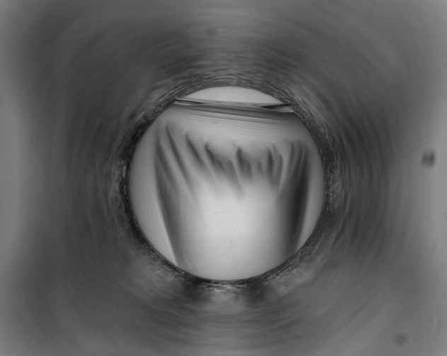 X0000099540229200806061501