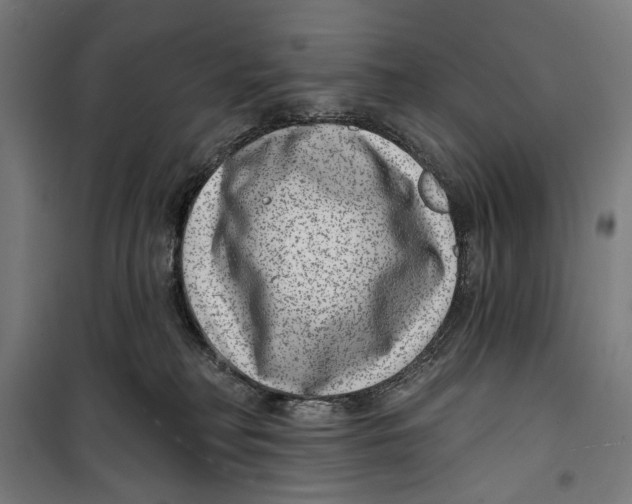 X0000099540230200806061501