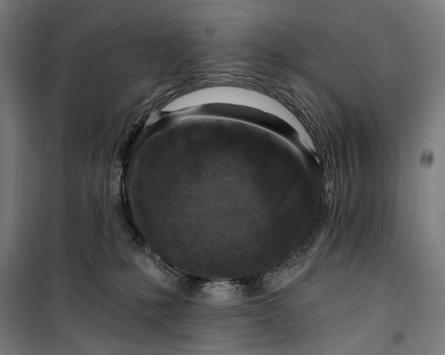 X0000099540231200806061501