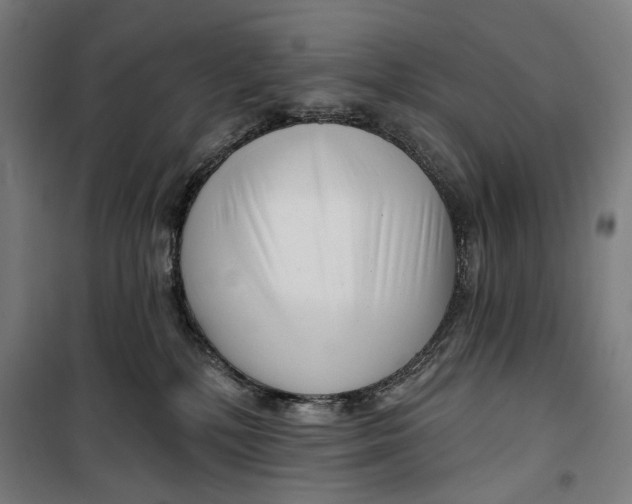 X0000099540232200806061501