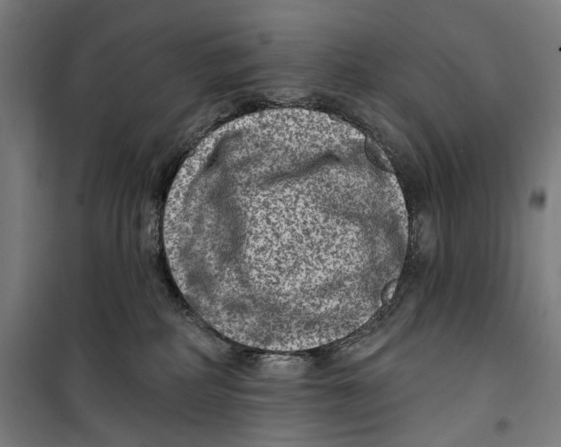 X0000099540234200806061501