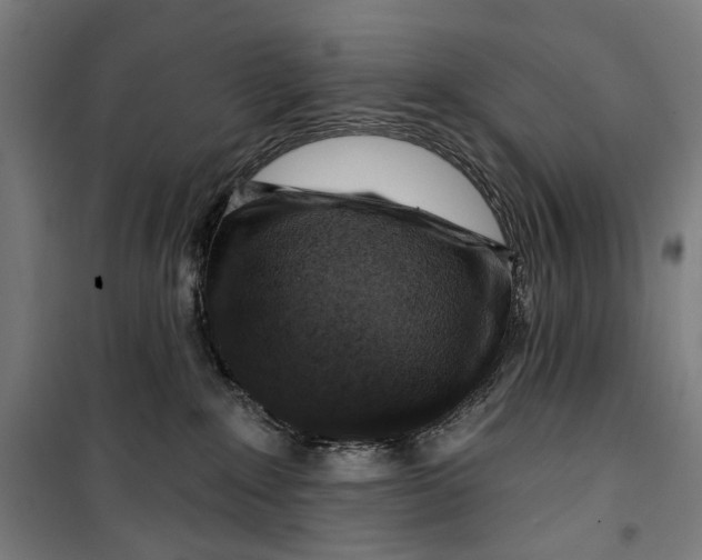 X0000099540235200806061501