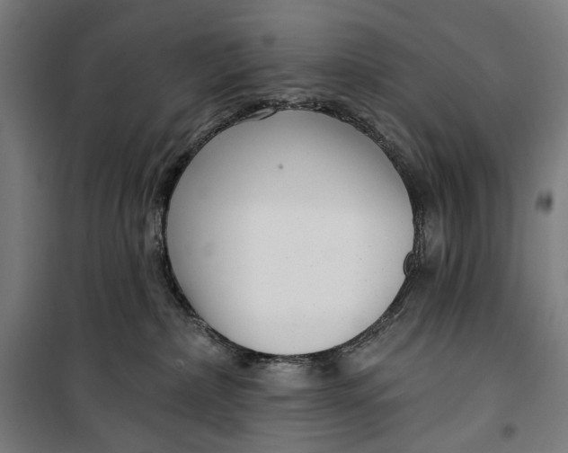 X0000099540236200806061501