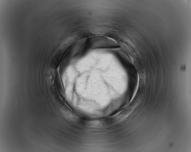 X0000099540237200806061501