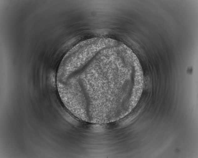 X0000099540238200806061501