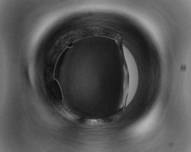 X0000099540239200806061501