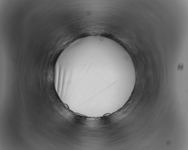 X0000099540240200806061501