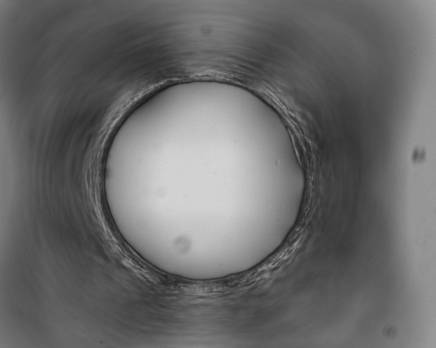 X0000099540241200806061501