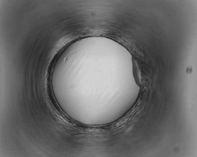 X0000099540242200806061501