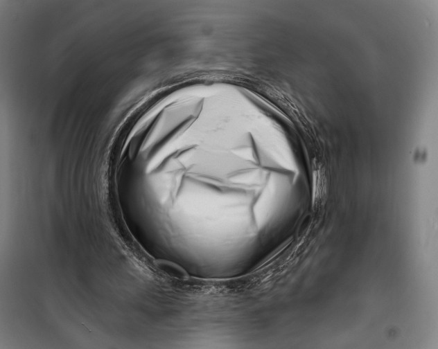 X0000099540243200806061501