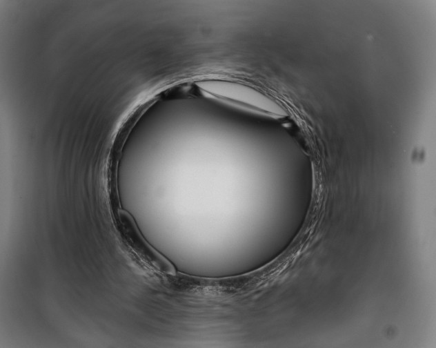 X0000099540244200806061501