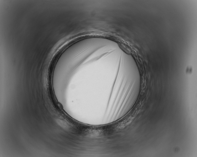 X0000099540247200806061501