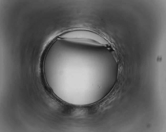 X0000099540248200806061501