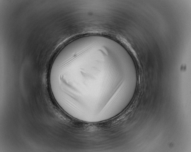 X0000099540249200806061501