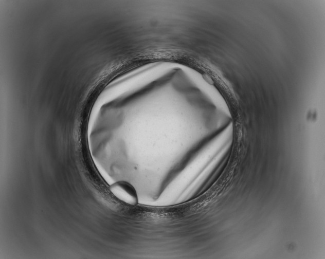 X0000099540250200806061501