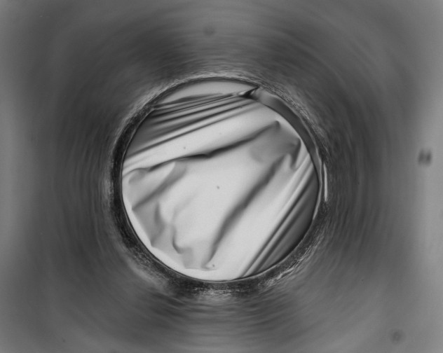 X0000099540252200806061501