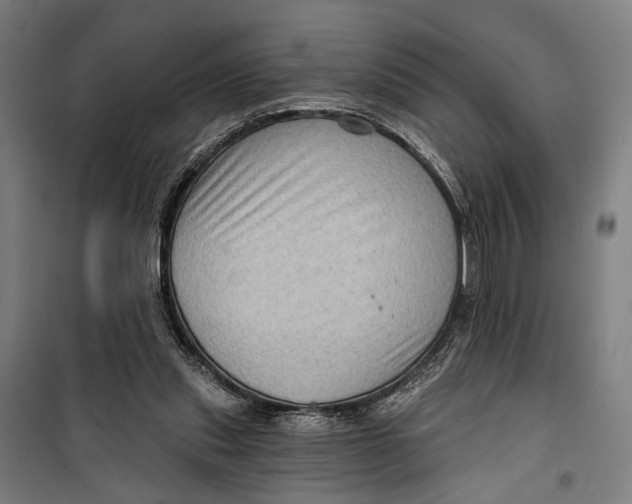 X0000099540253200806061501