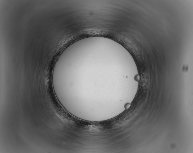 X0000099540255200806061501