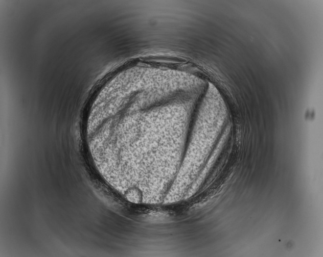 X0000099540256200806061501