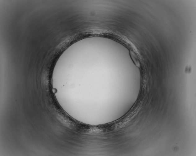 X0000099540257200806061501