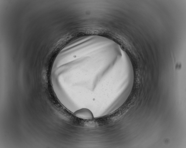 X0000099540258200806061501