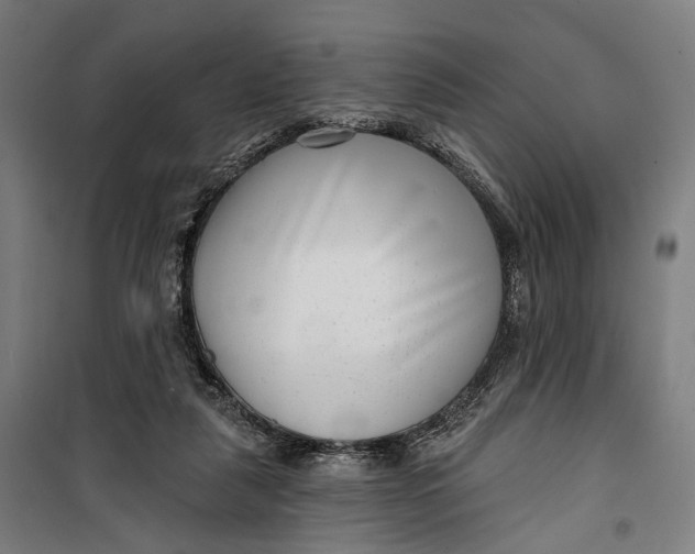 X0000099540259200806061501