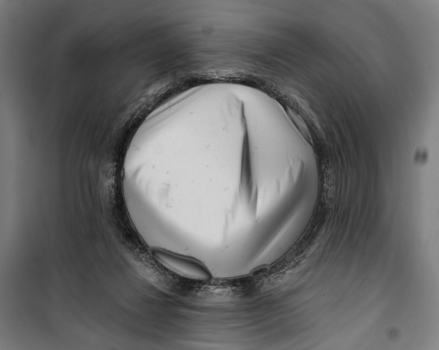 X0000099540260200806061501