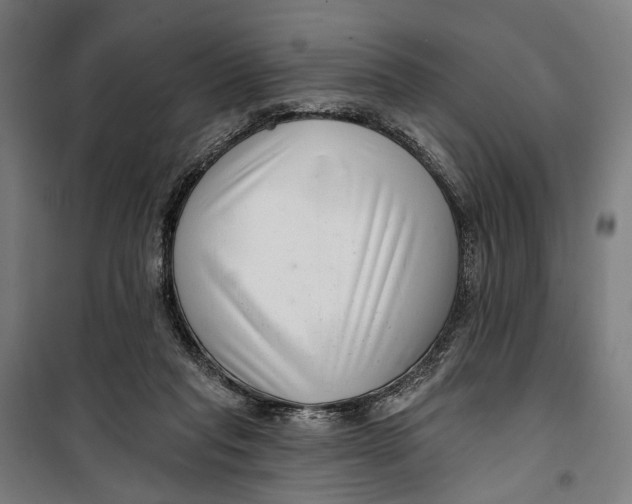 X0000099540261200806061501