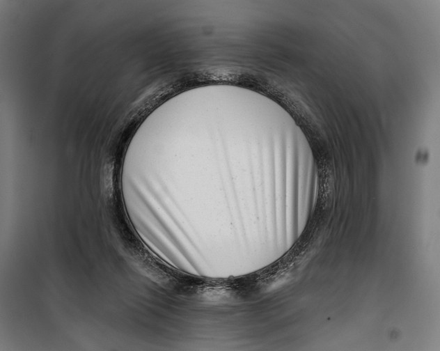 X0000099540262200806061501