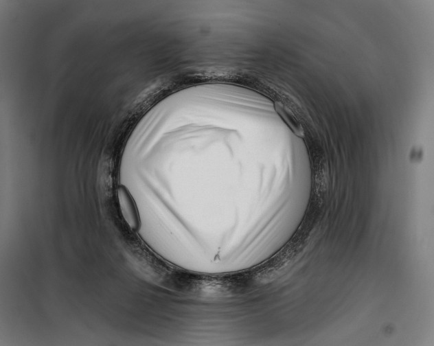 X0000099540264200806061501