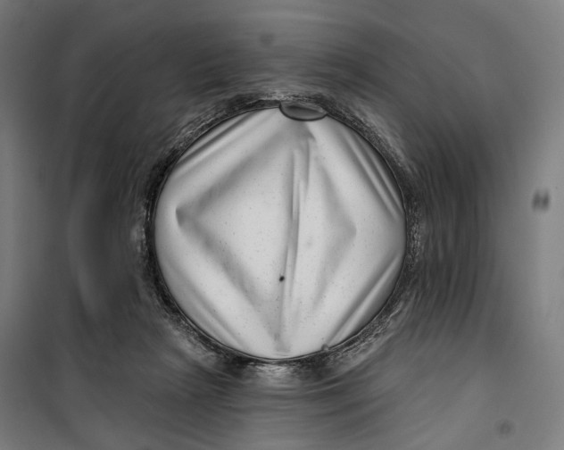 X0000099540265200806061501