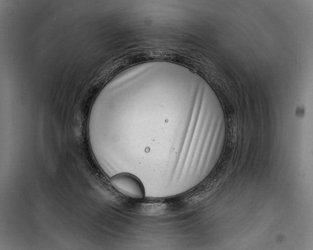 X0000099540266200806061501