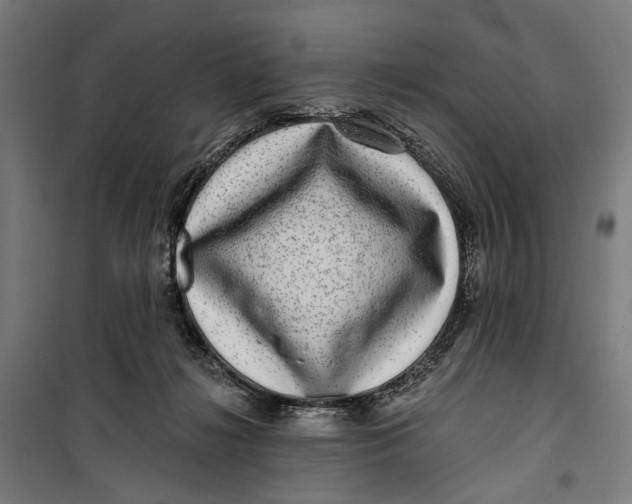 X0000099540268200806061501