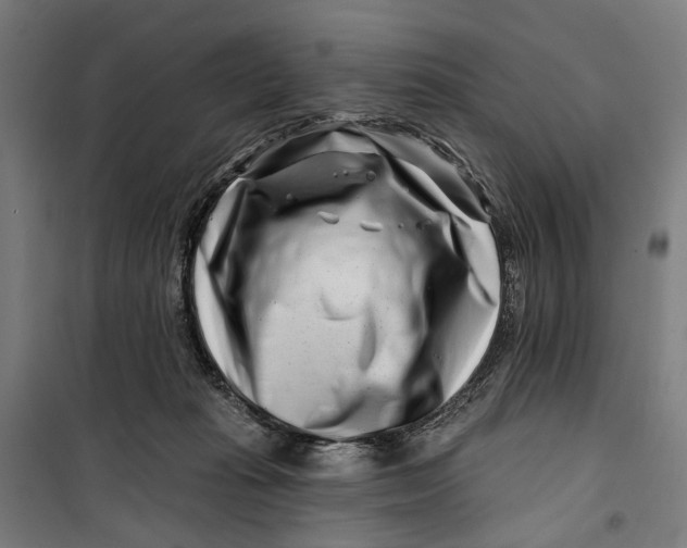 X0000099540269200806061501